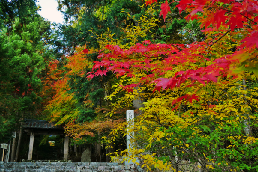 【美山荘宿泊プラン】「京都の奥座敷」のさらに奥!知られざる秘境の紅葉ツアー2日間♪~グループごとに専用車両手配~