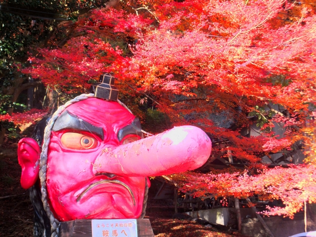 【門前茶屋宿泊プラン】「京都の奥座敷」のさらに奥!知られざる秘境の紅葉ツアー2日間♪~グループごとに専用車両手配~